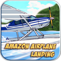 Amazon Airplane Landing Gold